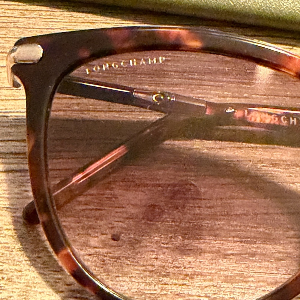 Tortoise Shell Sunglasses (Longchamp) - image 2